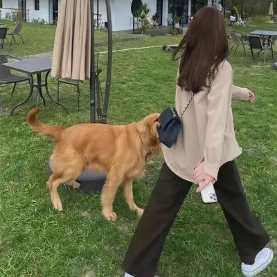名侦探学院第五季